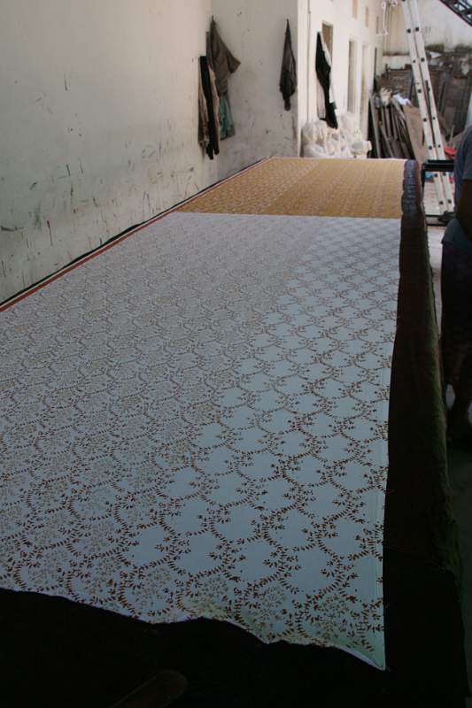 India & Nepal 2011 - 1454